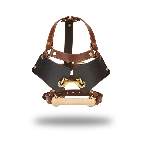 Leather Blinder and Gag, The Equestrian Collection